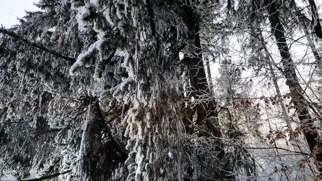 МЕСТО ГДЕ ОТДЫХАЕШЬ ДУШОЙ!  ГОЛУБОЕ ОЗЕРО В ЛЕСУ! Сила ?