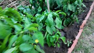 Жизнь в отдаленных хуторах и селах на ЮГЕ | Жизнь в рос?