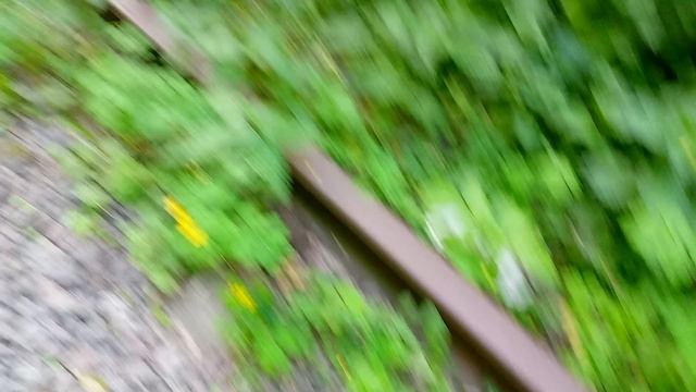 Забытые железные дороги 25.05.2025г. Прогулка до Электрозавода. (часть 2)