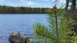 Озеро Теплюкса