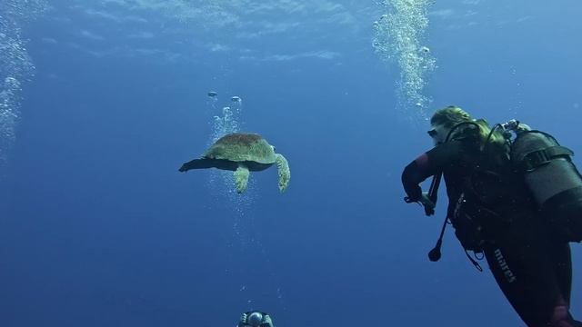 Ларнака – топ уютных мест Кипра, солёное озеро, фламин смотреть онлайн