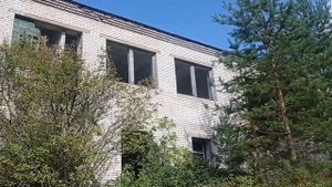 По следам ветки Выборг-Мичуринское. Житково и Вещево, ?