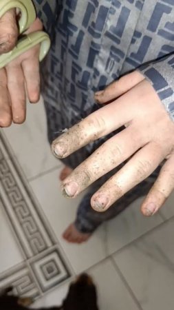 Юный садовод.