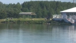 поимка карпа на большом водоёме