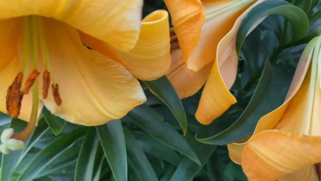 10 июля 2024 г. смотреть онлайн