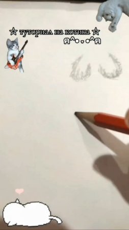 ТУТОР НА КОТИКА