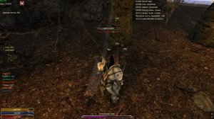 Ксерт и Элайр