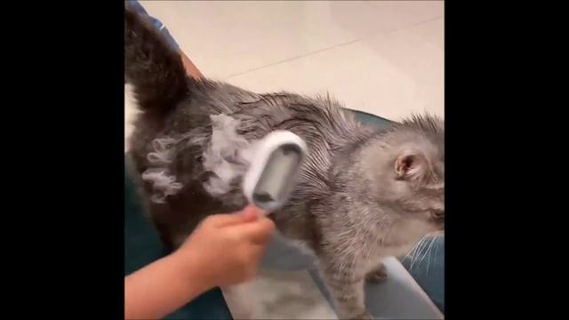 Двусторонние щетки для удаления шерсти.