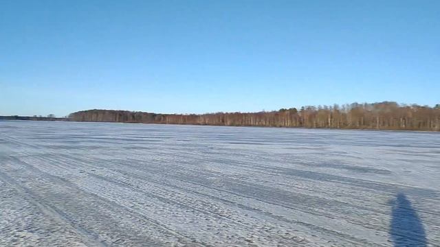 Торфяные глубины Лемболовского озера: подводный дрон, смотреть онлайн