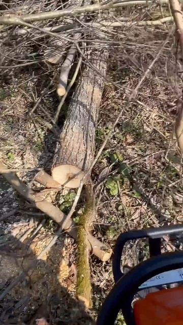 STIHL - MS 180 в роботі смотреть онлайн