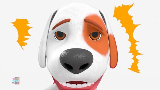 Анимационный сериал | Paw Packs | Дошкольные видео | Мультики для детей
