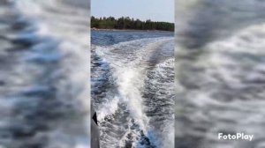 Карелия.Соловецкие острова. Август 2024.