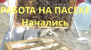Работа на пасеке началась, ставлю вощину, смотрю расплод, всё по порядку