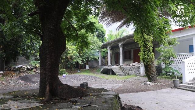 ЛУННЫЕ (Коморские) острова и их обитатели - (Полная вер? смотреть онлайн