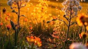 Доброе утро, понедельник! 🌞 Музыкальная открытка с пожеланиями добра и удачи!