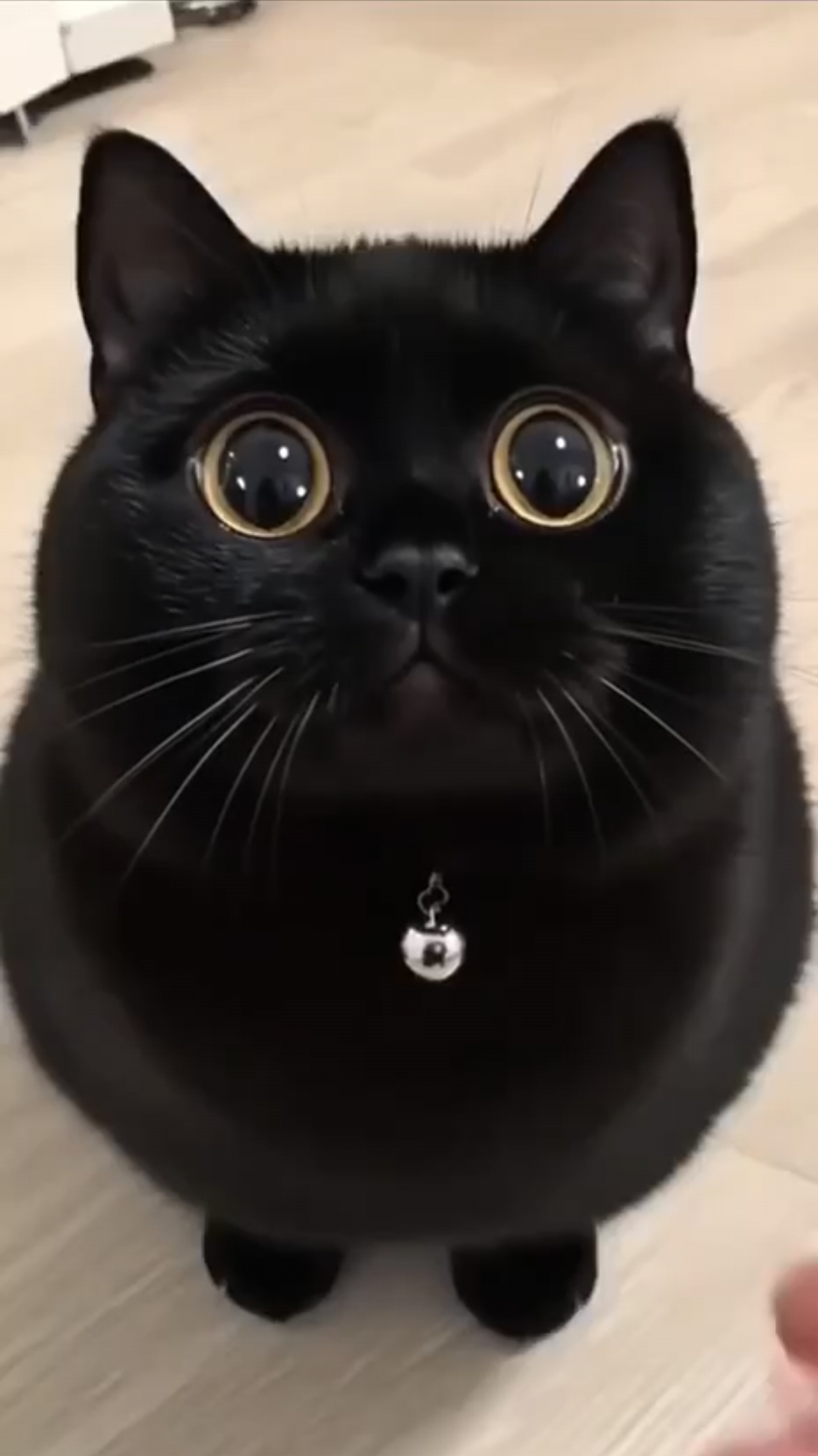 Чёрная няшка