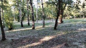 Катя-потеряха.mp4