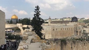 Иерусалим. По стенам Старого города.