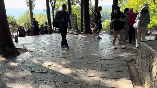 горы АВАТАРА | Самостоятельное путешествие в КИТАЙ 2024 смотреть онлайн