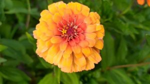 Далекий город 15 серия русская озвучка | Турецкий сериа