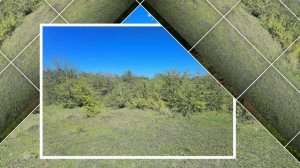 Окрестности Ставрополя (Русский лес - Бучинские поляны) 19 апреля 2025 года