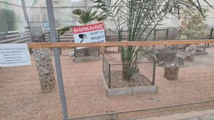 Зоопарк в Нальчике 🙈Путешествие по Кабардино-Балкар?