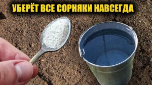 Любые сорняки исчезнут за 1 минуту навсегда! Рабочий способ как избавиться от сорняков без хлопот
