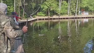 Рыбалка на спорт зоне. Цвет малина-шартрез вновь в тренде у форели. Клёвое место лосиный остров