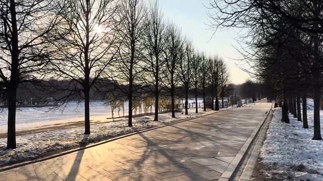 Москва, гуляю зимой в Царицыно! Лес, а там лисица к людя