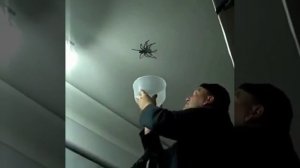 #ЛайфНеловкоМем 🤭