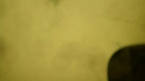 Утопил экшн камеру ,  нашли ли камеру , что с ней стало ?