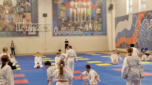 семинар Валерия айкидо 25-05-25