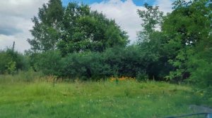 Сидорово. Касимовский р-н. Рязанская обл