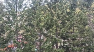 Город Москва - г. Владивосток. Путешествие за авто во Владивосток. Перегон японского 🇯🇵 автомобиля.