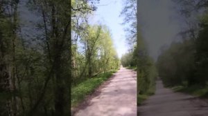 25-05-2025Араматический полумарафон 29км