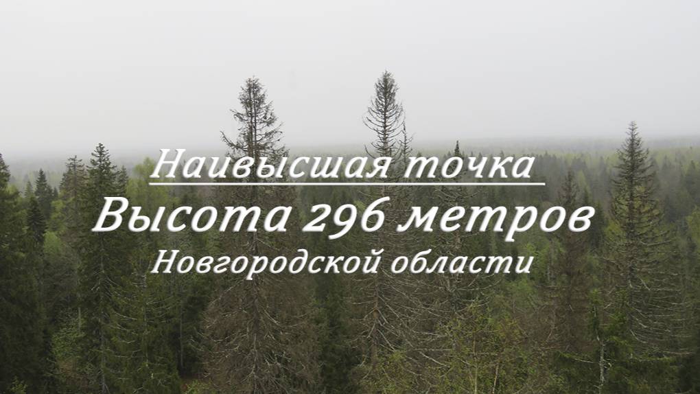 Наивысшая точка Новгородской области. 296 метров. Гора Рыжоха.