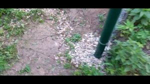 Обзор участка в СНТ