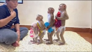 Одевать обезьянок ЛЮДЕЙ ПОСМЕШИТЬ Умные малыши