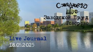 Live Journal - Заводской пруд (Москва, Говорово. 18.05.2025)