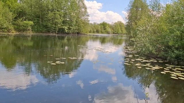 Трудовые будни. Невязальное