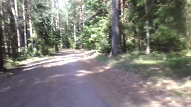 Комарово щучье озеро смотреть онлайн