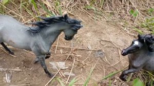 сериал проклятие 1 серия