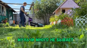 Мульчи много не бывает