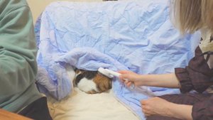 [Жизнь в Японии]Япония влог Обычный выходной день.