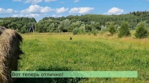 Команды "право" и "лево" по немотивированному направлению.