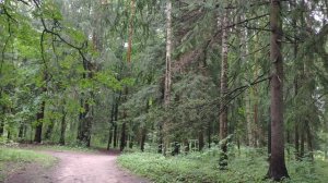 Павловск,парк