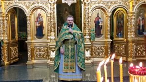 ВЕРБНОЕ ВОСКРЕСЕНЬЕ. Отец Савва (Мажуко).