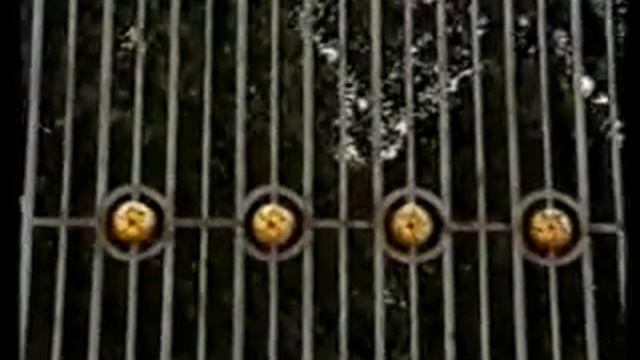 Я ПЕТЕРБУРЖЕЦ Ч05 САДЫ И ПАРКИ САНКТ ПЕТЕРБУРГА смотреть онлайн