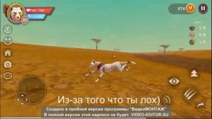 Как быстро прокачаться на гепарде?/WildCraft/ответы в видео