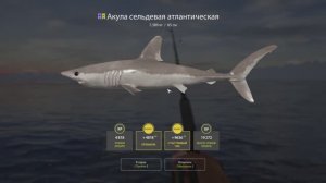 Русская рыбалка 4. Норвежское море. Ловля на креветки 7.5-001 - 7.5-003
